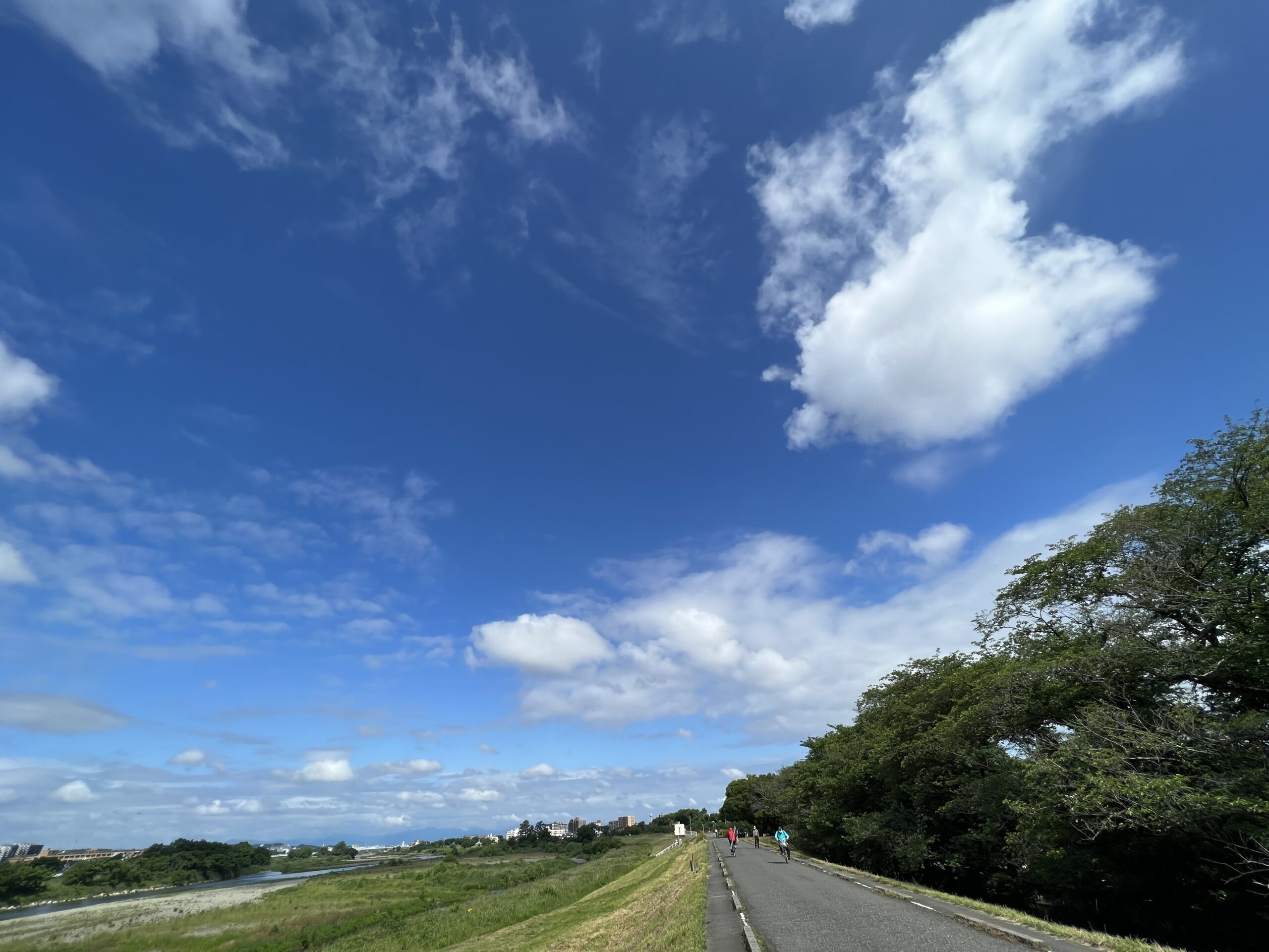 投稿ページ(お知らせ・ニュース)
